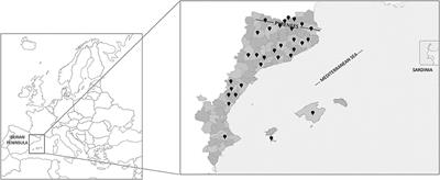Gastrointestinal, metabolic, and nutritional disorders: A plant-based ethnoveterinary meta-analysis in the Catalan linguistic area